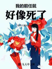 哪本书讲述了肖衍跟林悦的情节？