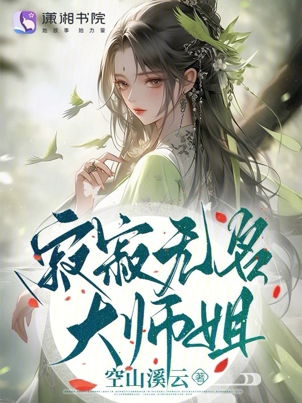 寂寂无名大师姐小说封面