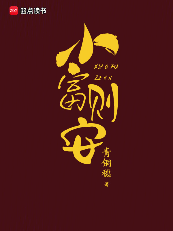 小富则安小说封面