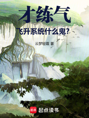 《才练气，飞升系统什么鬼？》封面