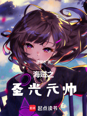 《海贼之圣光元帅》封面