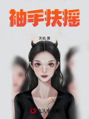 袖手扶摇小说，袖手扶摇林凡陈嘉仪-看书城