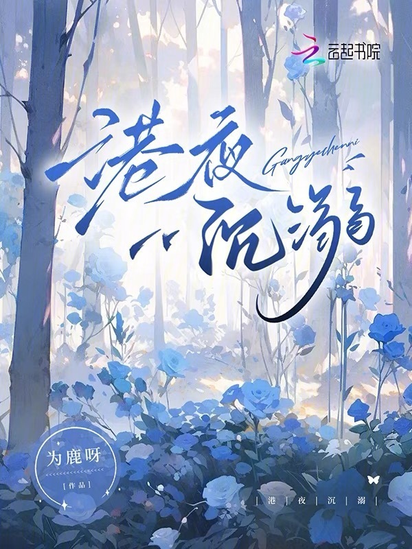 港夜沉溺小说封面