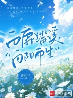 铃鸟之歌经典章节