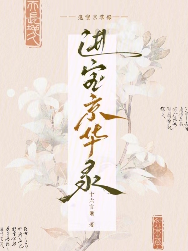 进宝京华录小说封面