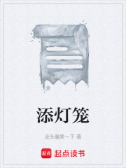 《添灯笼》封面