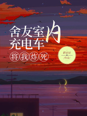 舍友室内充电车，将我炸死