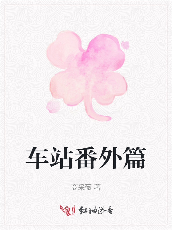 车站番外篇小说封面