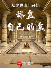《心渊阁》封面
