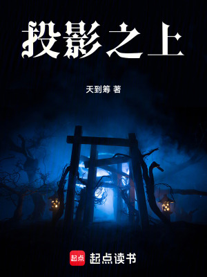 《投影之上》封面