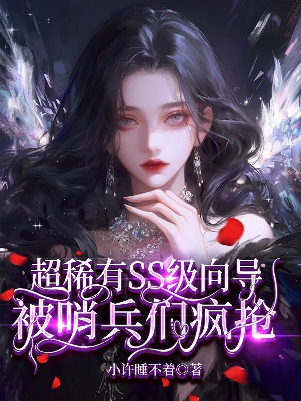 超稀有SS级向导，被哨兵疯抢小说封面