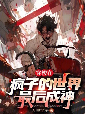 《穿梭在疯子的世界最后成神》封面