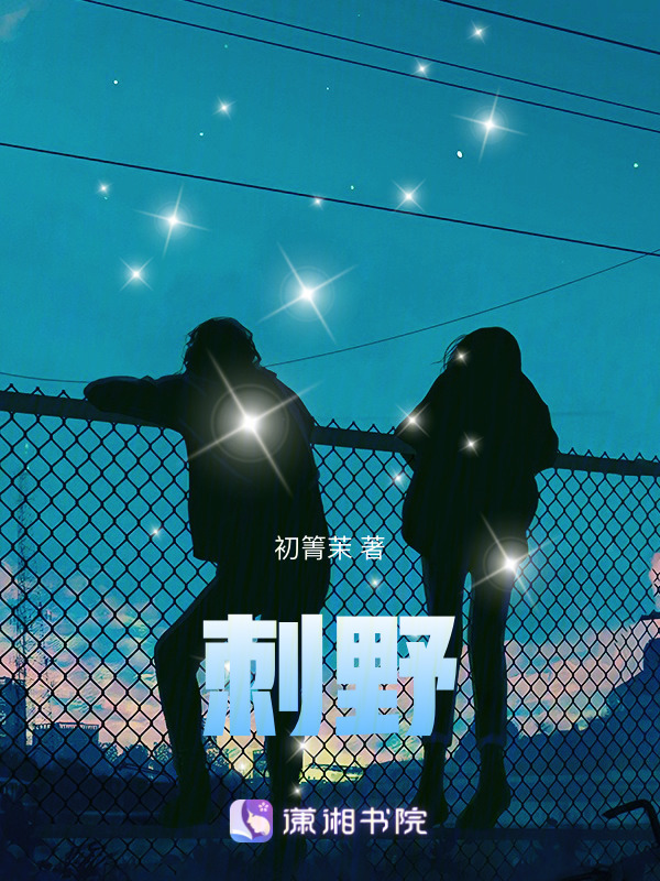 刺野小说封面