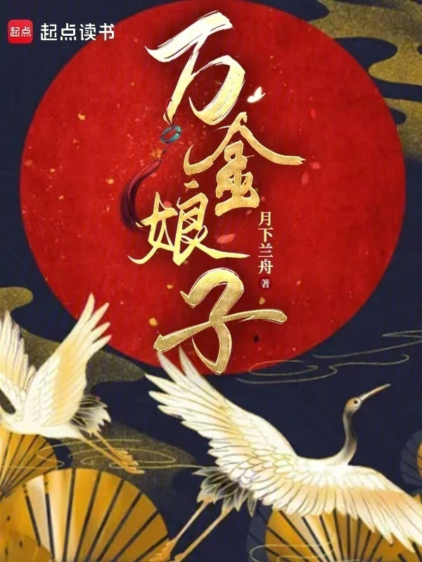 万金娘子小说封面