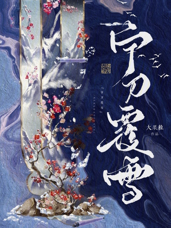 宁刀覆雪小说封面