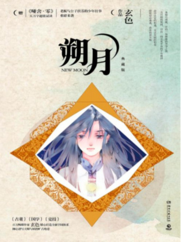 朔月小说封面