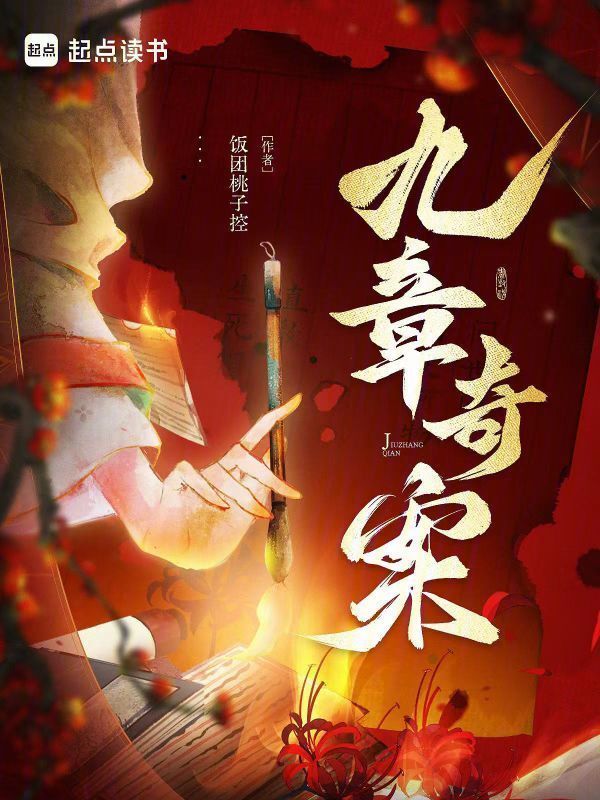 九章奇案小说封面