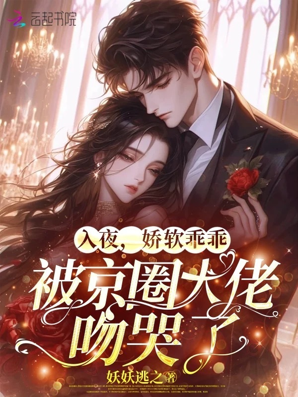 入夜，娇软乖乖被京圈大佬吻哭了小说封面