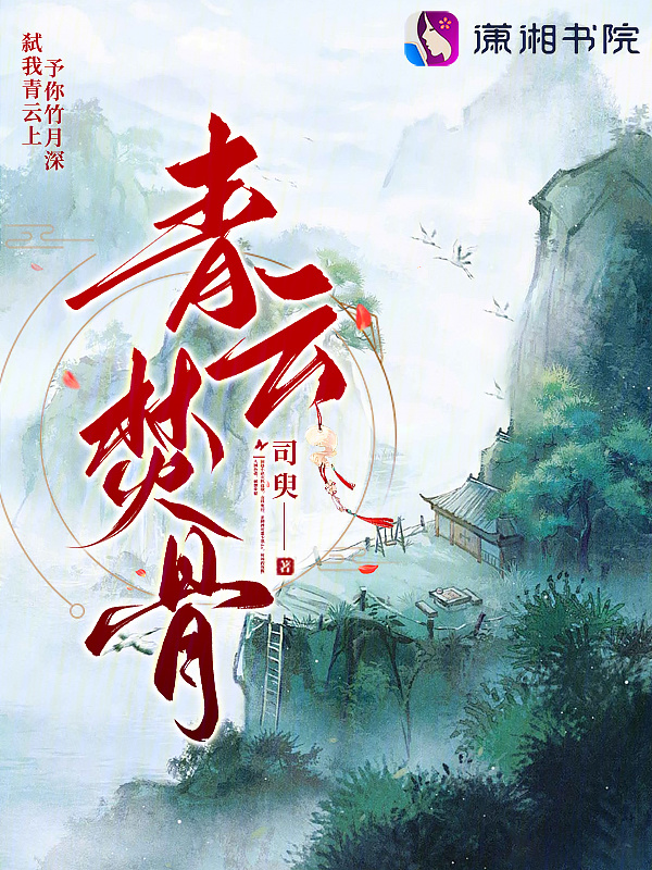 青云焚骨小说封面