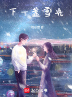下一盏雪光