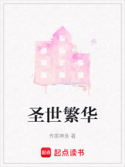 《圣世繁华》封面