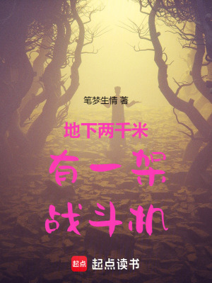 《地下两千米有一架战斗机》封面