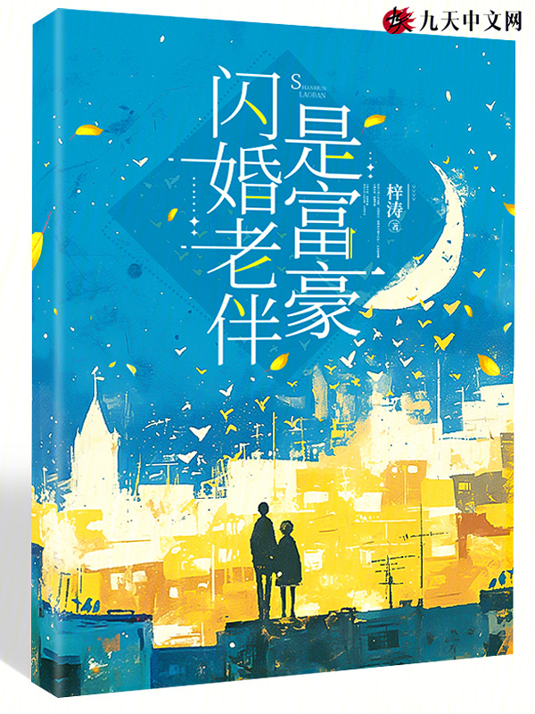 闪婚老伴是富豪小说封面