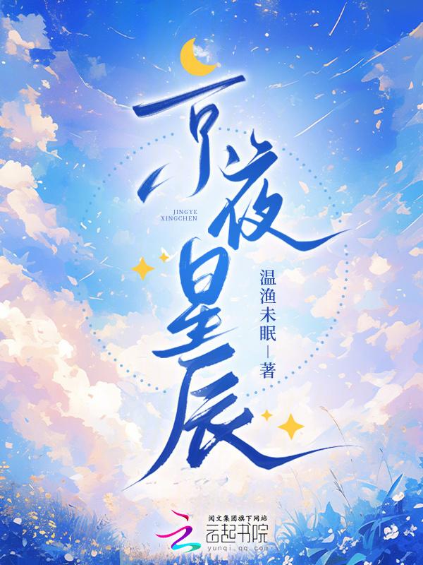京夜星辰小说封面