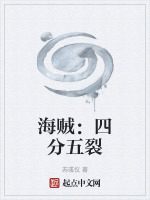 海贼：四分五裂