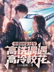 寒假回家过年，高铁偶遇高冷校花（陈尘、林慕溪）