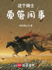 《这个骑士爱管闲事》封面