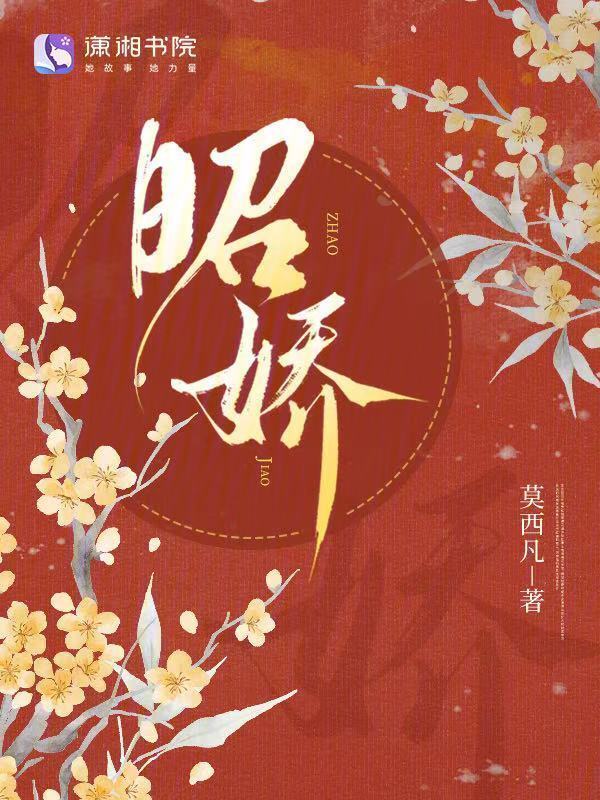 昭娇小说封面