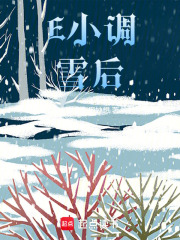 《E小调雪后》封面