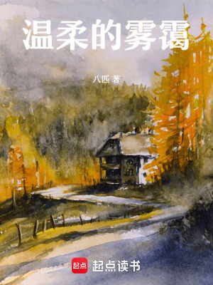 《温柔的雾霭》封面