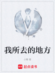《我所去的地方》封面