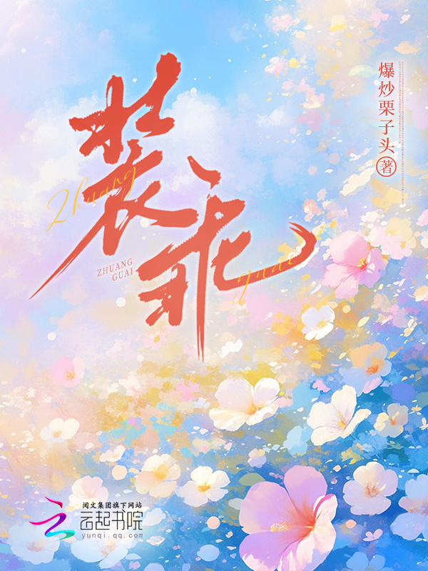 装乖小说封面