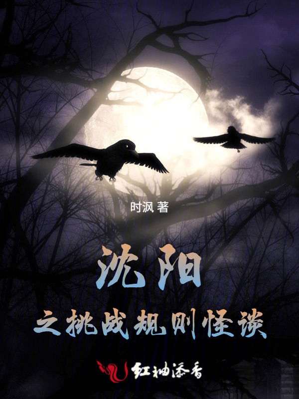 沈阳之挑战规则怪谈小说封面