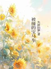被撞的宝马车