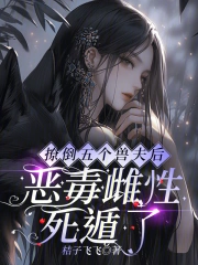 小花貓傳媒影視