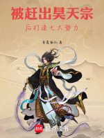 结局昊天宗降级