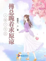 Nhập Ngục Tam Niên Hậu, Phó Tổng Quỳ Trứ Cầu Nguyên Lượng