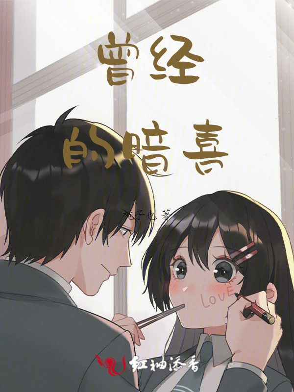 曾经的暗喜小说封面