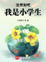 创世主神小马车