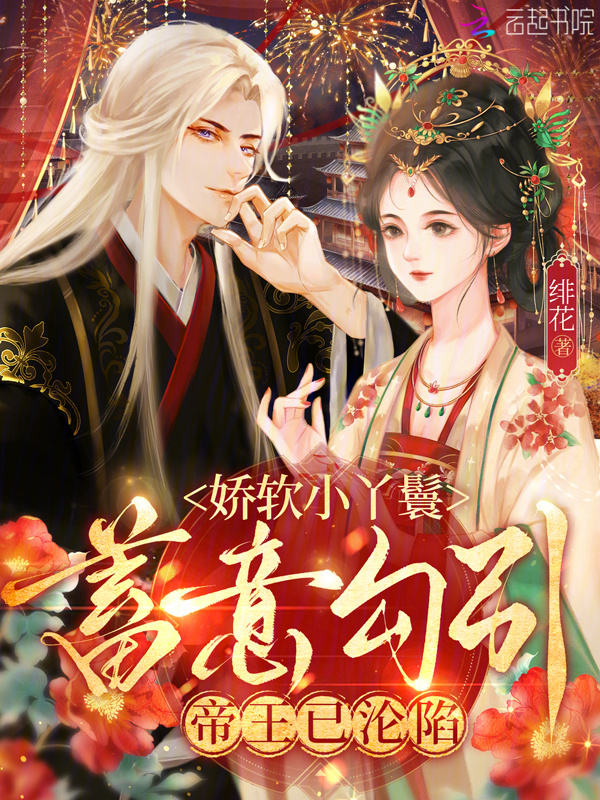 娇软小丫鬟蓄意勾引，帝王已沦陷小说封面