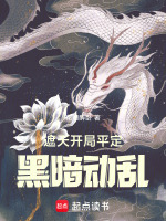 徐鹤平定黑暗动乱