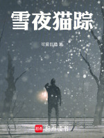 雪夜猫踪