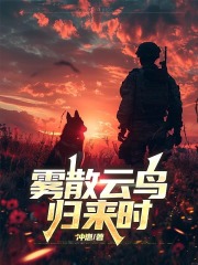  雾散云鸟归来时