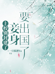  上校别封建了，妾身要出国了
