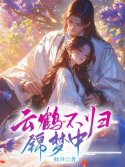  云鹤不归锦梦中