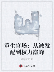 重生官场：从被发配到权力巅峰